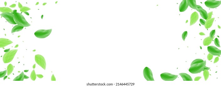 Light Green Leaves Background White Vector. Sheet Watercolor Illustration. Forest Texture. Green Flavor Design. Plant Label.