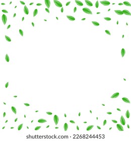 Light Green Leaves Background White Vector. Sheet Bio Frame. Woods Design. Green Food Card. Greenery Vibrant.