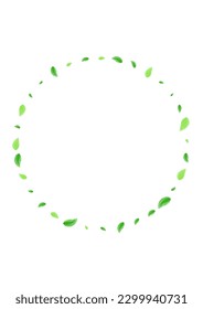Light Green Leaves Background White Vector. Plant Agriculture Design. Flying Frame. Green Clean Card. Sheet Life.