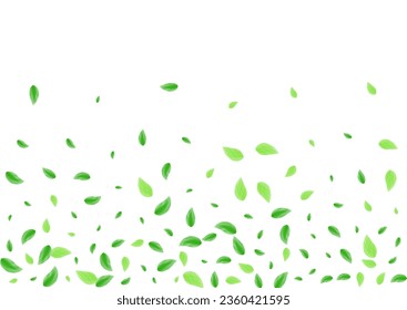 Light Green Leaves Background White Vector. Vegetation Garden Card. Decorative Design. Greenish Wind Frame. Foliage Cosmetic.