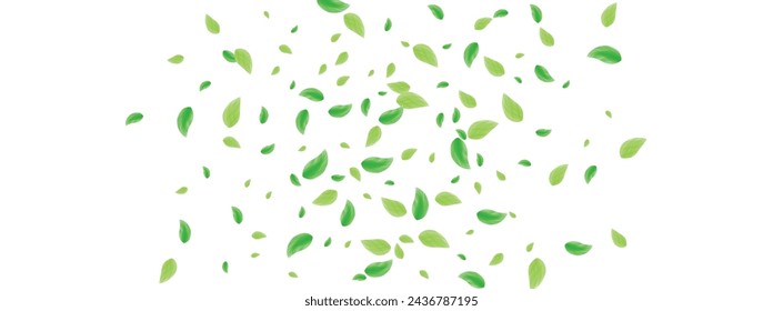 Hellgrüne Blätter Hintergrund weißer Vektor. Blatt rustikaler Rahmen. Zweig Illustration. In: Green Pattern Design. Schönheit.
