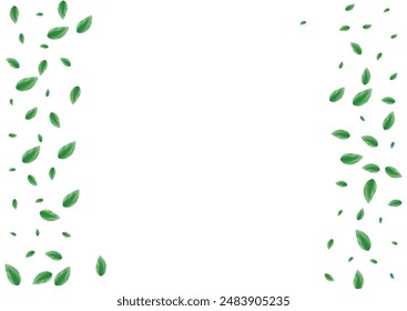 Fondo de hojas de color verde claro Vector blanco. Marco de vida de hoja. Tarjeta de Herbario. Ilustración de conjunto verdoso. Vegetación vívida.