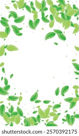 Light Green Leaves Background White Vector. Greenery Falling Design. Garden Illustration. Green Refreshing Frame. Plant Line.