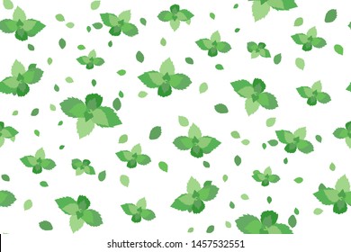 Light green mint leaves on white background seamless pattern. Vector Wallpaper, template. Summer print. Modern design. Vector illustration.