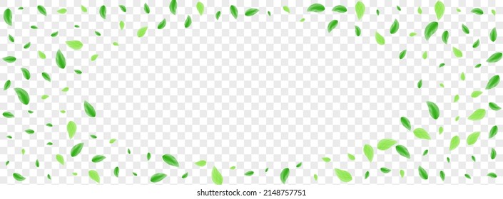 Light Green Plant Background Transparent Vector. Vegetation Vitality Texture. Beauty Illustration. Greenish Structure Design. Sheet Garden.