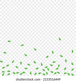 Light Green Plant Background Transparent Vector. Vegetation Vibrant Texture. Symbol Frame. Greenish Beauty Illustration. Foliage Light.