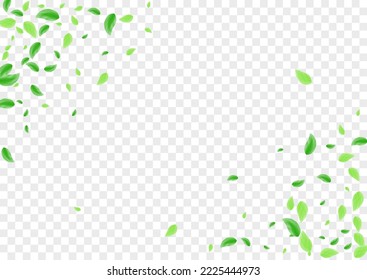 Light Green Plant Background Transparent Vector. Leaves Concept Texture. Bio Design. Greenish Simple Card. Vegetation Set.