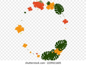 Light Green Plant Background Transparent Vector. Leaf Beach Texture. Orange Leaves. Fashion Card. Red Branch Illustration.