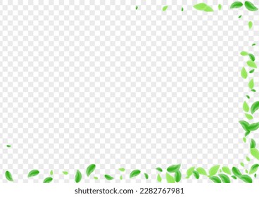 Light Green Plant Background Transparent Vector. Greenery Bio Illustration. Blend Texture. Greenish Food Card. Vegetation Flora.