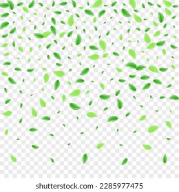 Light Green Plant Background Transparent Vector. Greenery Grow Illustration. Modern Texture. Greenish Subtle Design. Foliage Border.