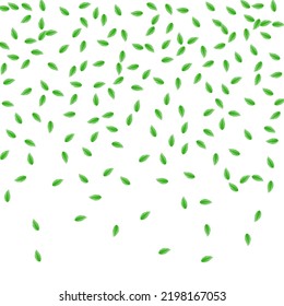 Light Green Plant Background White Vector. Leaf Structure Illustration. Growth Card. Green Creative Frame. Leaves Silhouette.