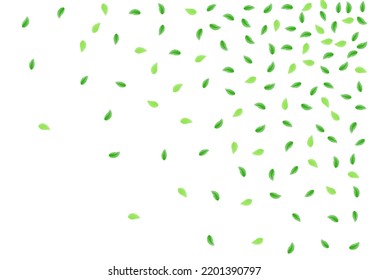 Light Green Plant Background White Vector. Sheet Life Frame. Banner Card. Greenish Herbarium Illustration. Greenery Creative.