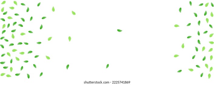 Light Green Plant Background White Vector. Leaves Growth Frame. Botanical Illustration. Green Wind Texture. Sheet Park.