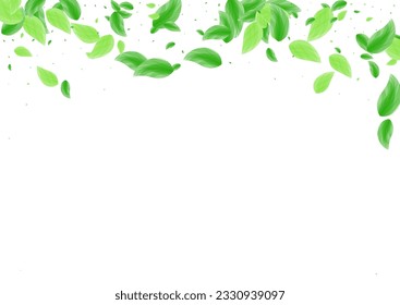 Light Green Plant Background White Vector. Vegetation Environment Design. Wild Illustration. Green Agriculture Texture. Sheet Space.