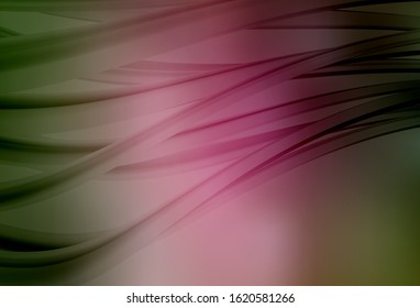 Light Green, Red vector abstract bright pattern. Shining colorful illustration in smart style. Completely new design for your business.
