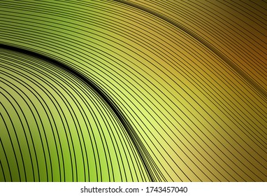 Light Green, Red vector backdrop with wry lines. An elegant bright illustration with gradient lines. A sample for your ideas.
