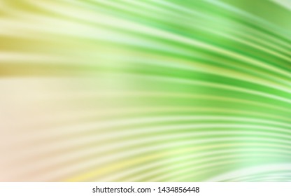 Light Green, Red vector background with curved lines. Glitter abstract illustration with wry lines. Elegant pattern for a brand book.