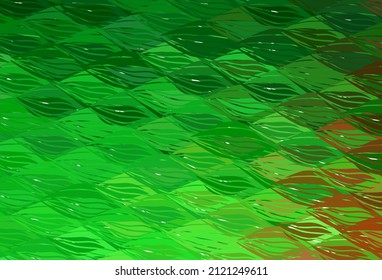 Light Green, Red vector background with bent lines. Shining colorful illustration in simple curve style. Background for cell phone screens.