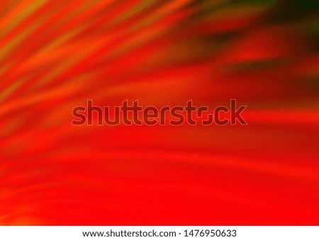 Similar – Image, Stock Photo tulip flower Nature Plant