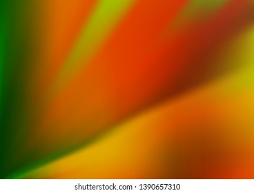 Light Green, Red vector bokeh pattern. Glitter abstract illustration with an elegant design. The template for backgrounds of cell phones.