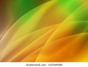 Light Green, Red vector cover with long lines. Blurred decorative design in simple style with lines. The template can be used as a background.