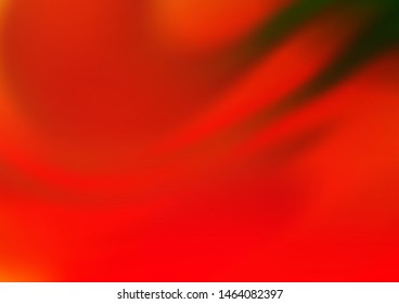 Light Green, Red vector glossy abstract background. A vague abstract illustration with gradient. A completely new template for your design.