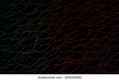 Light Green, Red vector  layout with circle shapes. Illustration with set of shining colorful abstract circles. Pattern can be used as texture of water, rain drops.