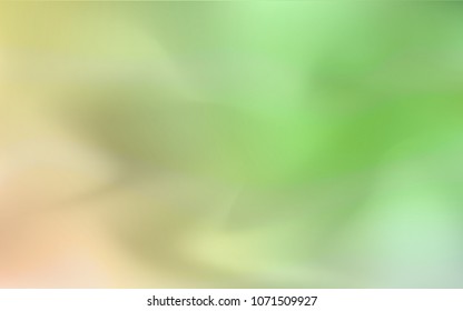 Light Green, Red vector modern elegant backdrop. An elegant bright illustration with gradient. The blurred design can be used for your web site.