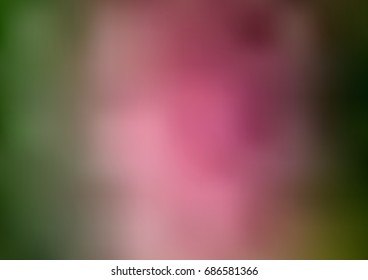 Light Green, Red vector modern elegant template. A vague abstract illustration with gradient. The elegant pattern can be used as part of a brand book.