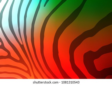 Light Green, Red vector natural elegant pattern. Doodles on blurred abstract background with gradient. Brand-new style for your business design.