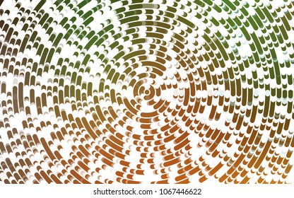 Light Green, Red vector pattern with curved circles. Blurred geometric sample with gradient bubbles.  Marble style for your business design.