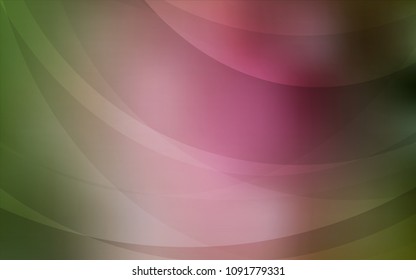 Light Green, Red vector pattern with lines, ovals. Colorful abstract illustration with gradient lines. Brand-new design for your ads, poster, banner.