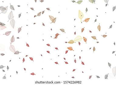 Light Green, Red vector sketch cover. Colorful illustration in doodle style with leaves. Brand new style for your business design.