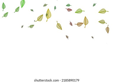 Light Green, Red vector sketch backdrop. Brand new colorful illustration in modern style with leaves. Hand painted design for wrapping, wallpaper.