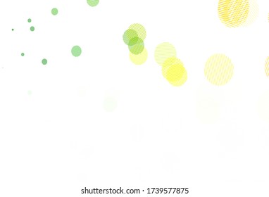 Planta vectorial de color verde claro, rojo con círculos. Ilustración abstracta con burbujas de colores al estilo natural. Diseño para su anuncio comercial.