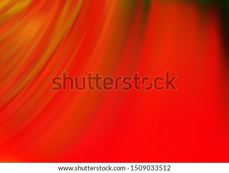 Similar – Image, Stock Photo tulip flower Nature Plant