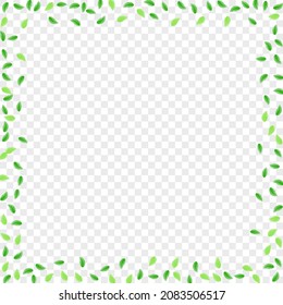 Vector transparente de fondo de hoja verde claro. Plantar Textura Delicada. Decoración. Tarjeta de Figura Verde. Plantilla de vegetación.
