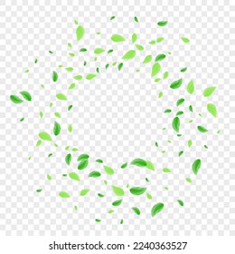 Light Green Sheet Background Transparent Vector. Leaves Abstract Texture. Silhouette Design. Green Subtle Card. Foliage Realistic.