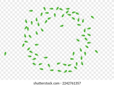 Light Green Sheet Background Transparent Vector. Foliage Clean Illustration. Floral Design. Greenish Decorative Frame. Leaf Style.