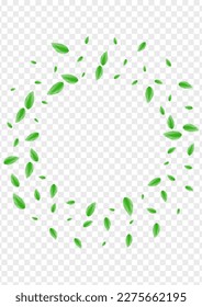 Light Green Sheet Background Transparent Vector. Plant Clean Design. Simple Texture. Green Rustic Frame. Greenery Environment.