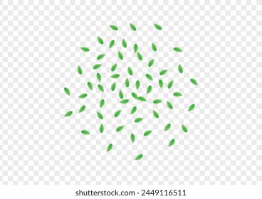 Light Green Sheet Background Transparent Vector. Leaf Fresh Texture. Symbol Illustration. Greenish Motion Design. Foliage Subtle.