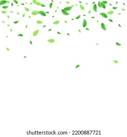 Vector blanco de fondo de hoja verde claro. Diseño de Plantas Ligeras. Textura elegante. Marco de movimiento verde. Deja Flora.