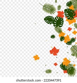 Light Green Strelitzia Background Transparent Vector. Plant Aloha Texture. Green Leaf. Miami Frame. Red Spring Illustration.