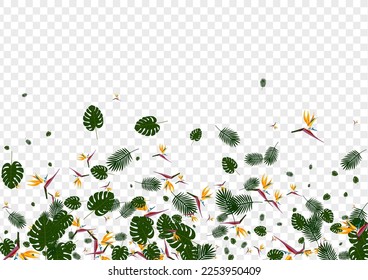 Light Green Strelitzia Background Transparent Vector. Philodendron Hawaiian Design. Red Foliage. Tropical Texture. Orange Spring Backdrop.