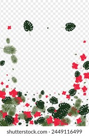 Light Green Tree Background Transparent Vector. Foliage Color Card. Red Palm. Hawaiian Pattern. Orange Hawaii Frame.