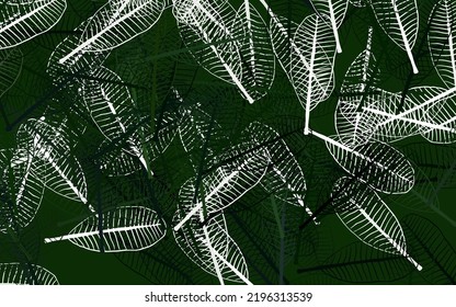 Light Green vector abstract background with leaves. Modern geometrical abstract illustration with leaves. Hand painted design for web, leaflets.