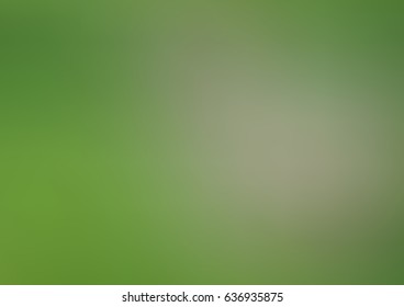 Light Green vector abstract background. Colorful abstract illustration with gradient. The best blurred design for your business.