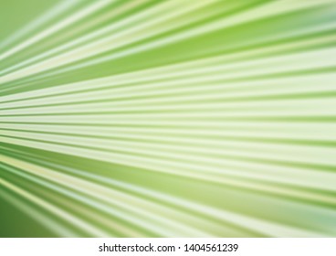 Light Green vector abstract blurred pattern. Creative illustration in halftone style with gradient. The elegant pattern for brand book.