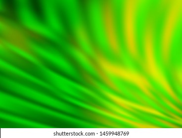Light Green vector abstract bright template. A completely new color illustration in a bokeh style. The background for your creative designs.
