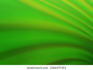 Light Green vector abstract bright template. A completely new color illustration in a bokeh style. The background for your creative designs.
